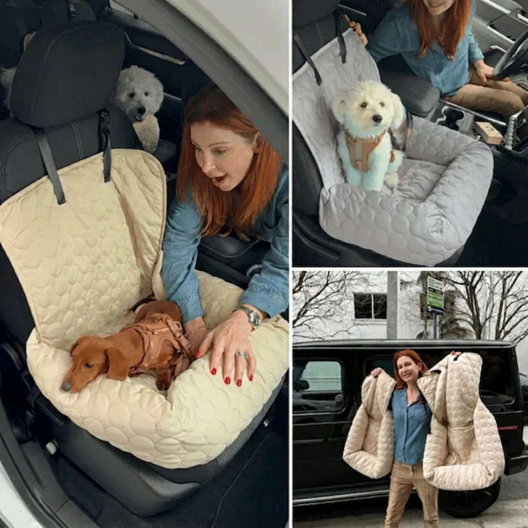 Siège auto rafraîchissant pour chien - Image 15