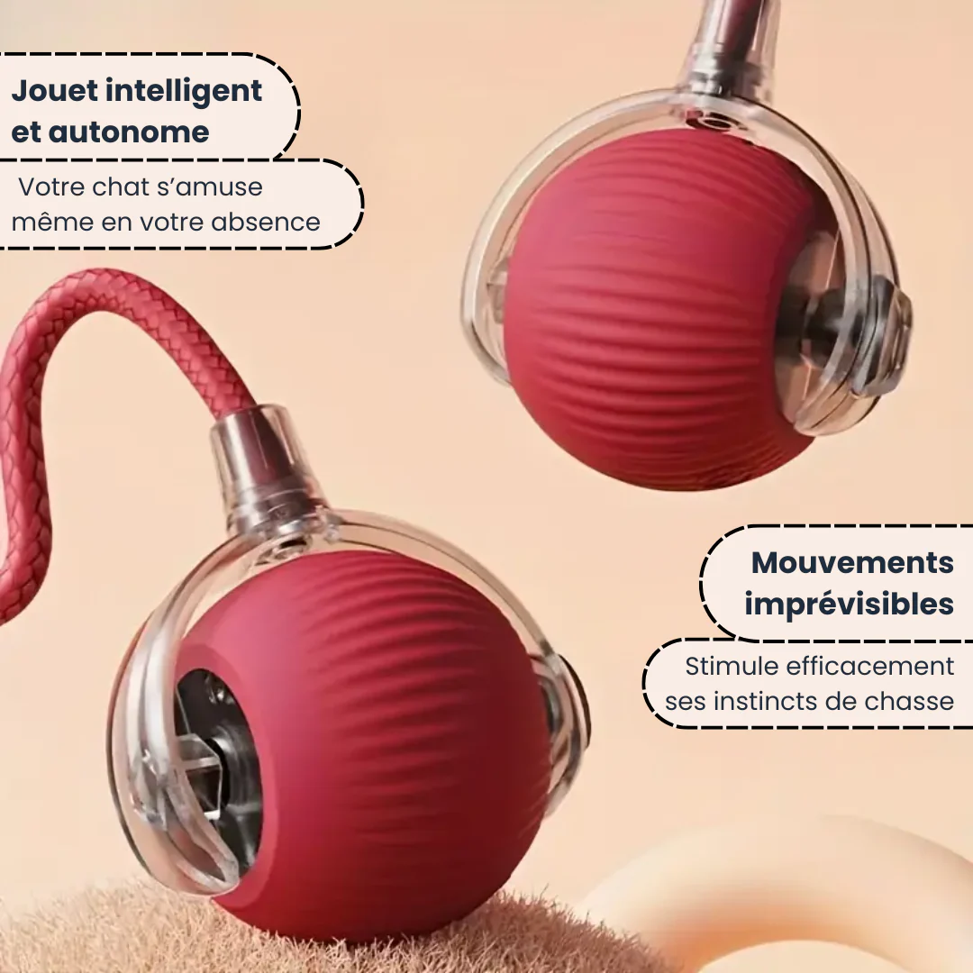 SmartBall™ - Jouet interactif pour chats - Image 6
