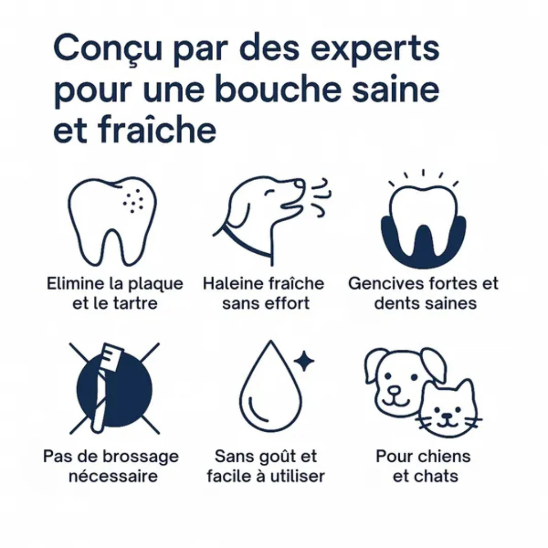 Spray Dentaire Anti-Tartre pour Chiens - Image 2