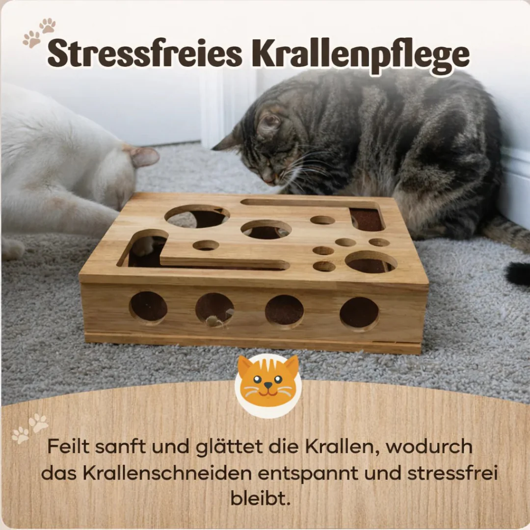 Tablette interactive pour chats - Image 3