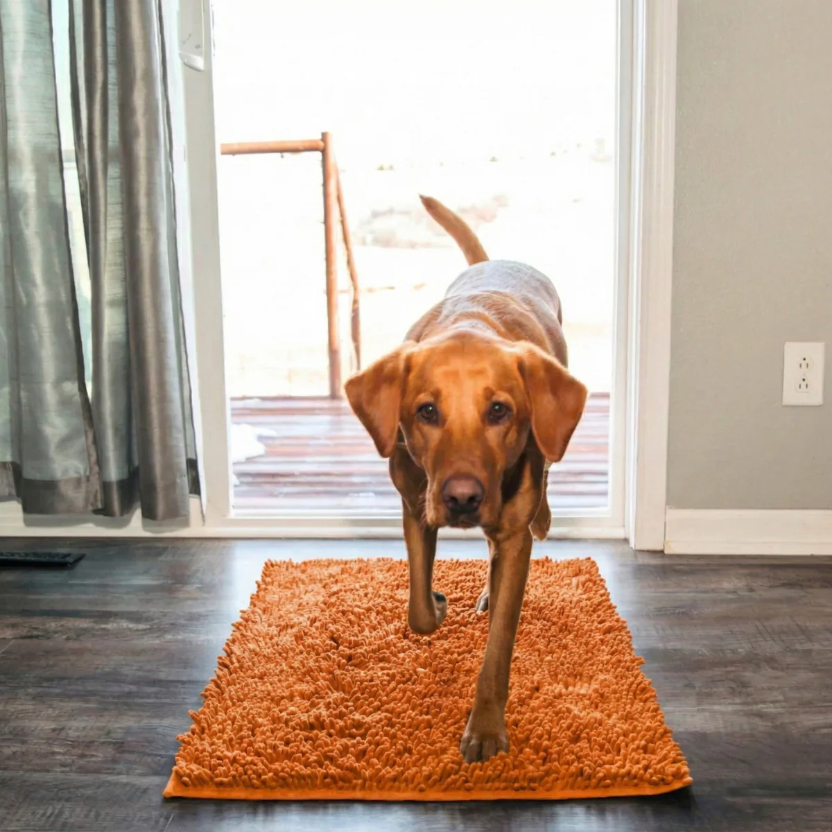 Tapis absorbant pour pattes de chien et chat - Image 10