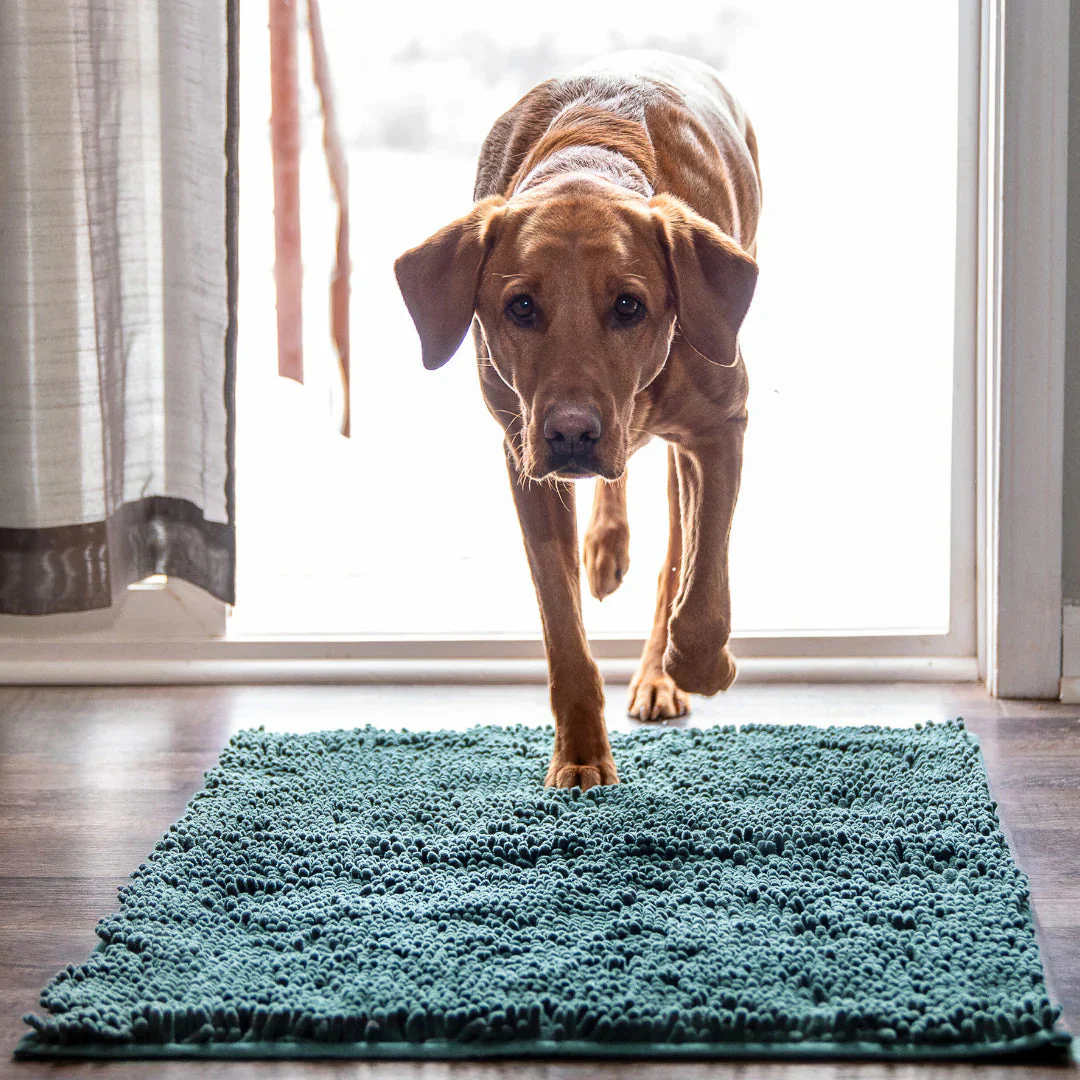 Tapis absorbant pour pattes de chien et chat - Image 15