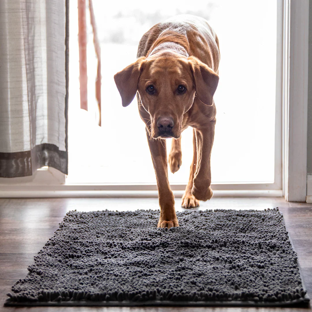 Tapis absorbant pour pattes de chien et chat - Image 2
