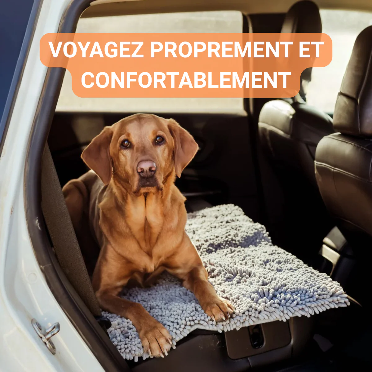 Tapis absorbant pour pattes de chien et chat - Image 8