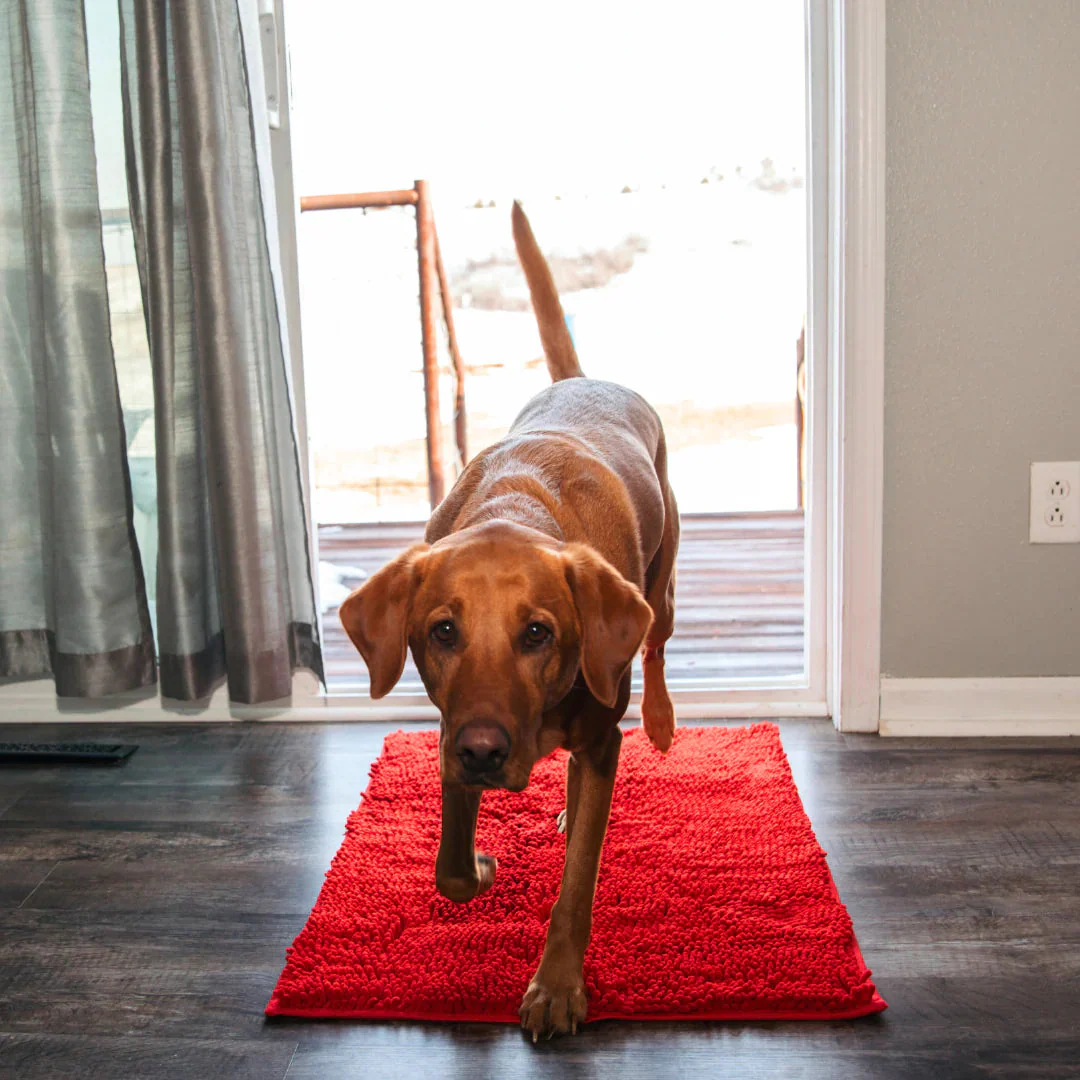 Tapis absorbant pour pattes de chien et chat - Image 9