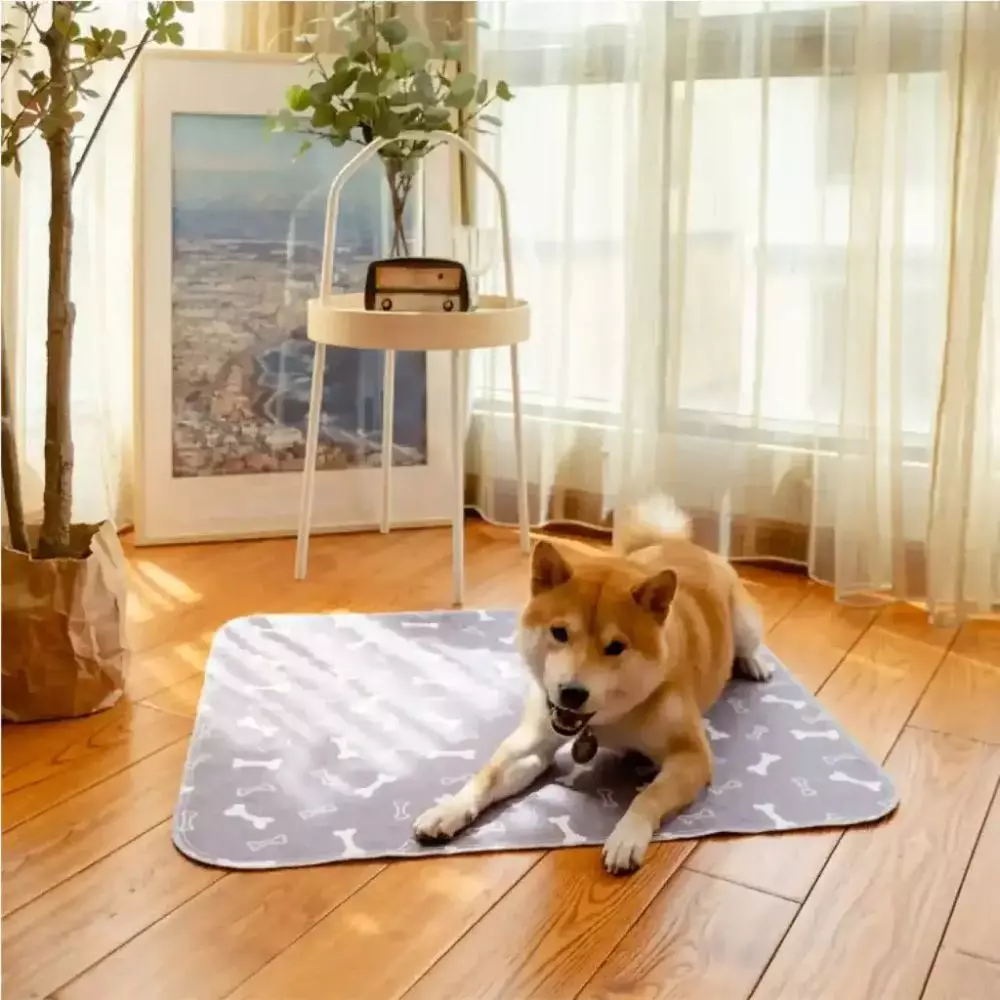 Tapis Hygiénique Absorbant pour Chien - Image 3