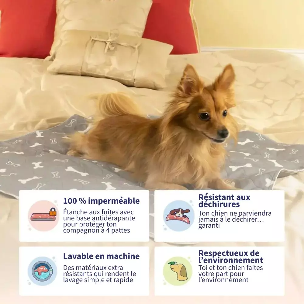 Tapis Hygiénique Absorbant pour Chien - Image 4