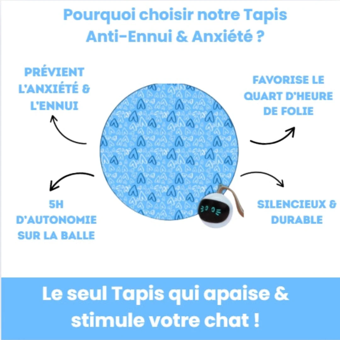 Tapis de Jeu Interactif pour Chat - Image 2