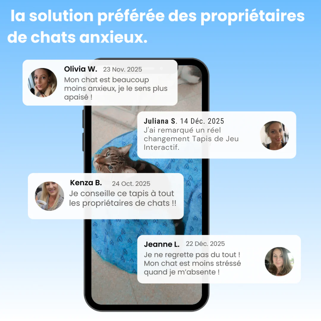 Tapis de Jeu Interactif pour Chat - Image 3