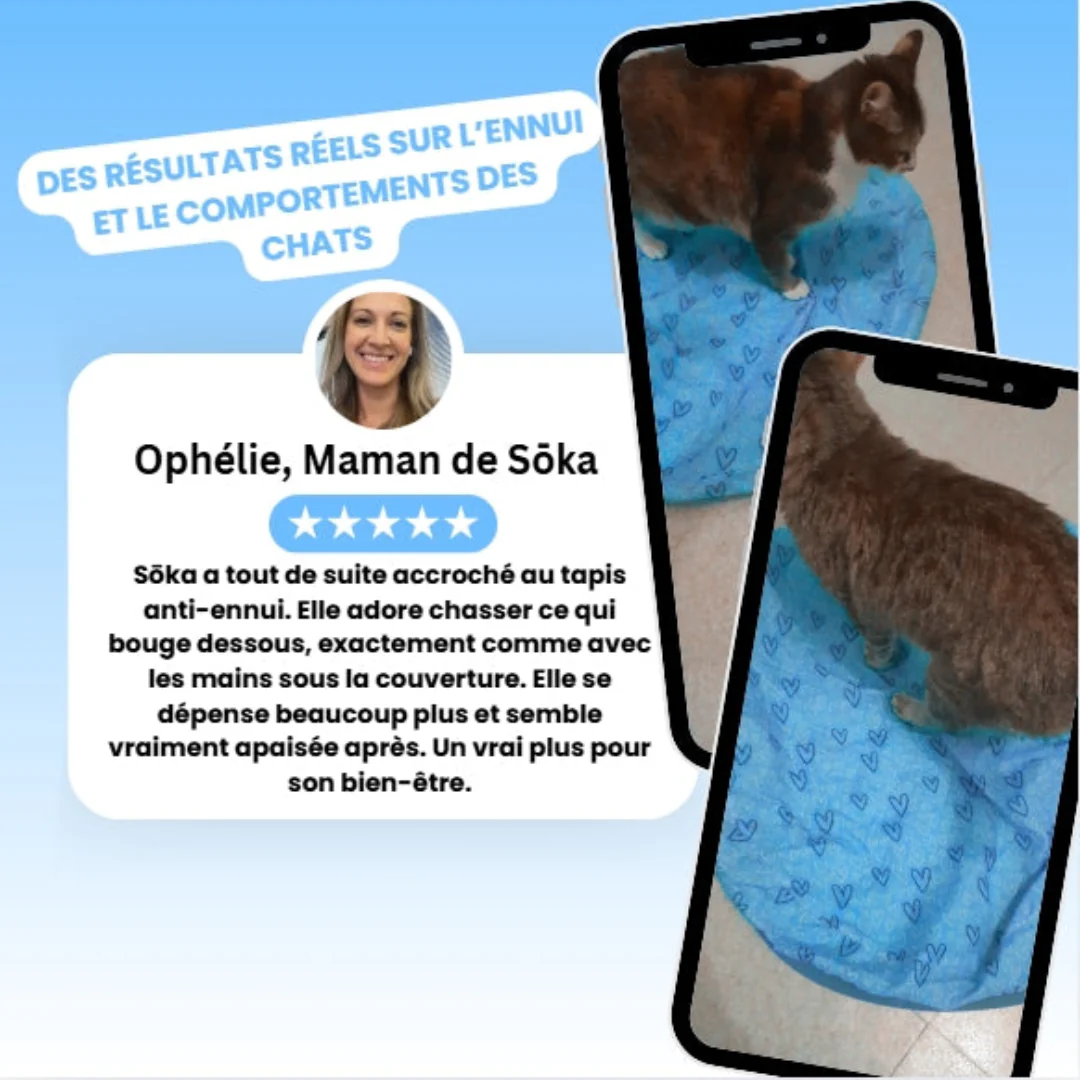 Tapis de Jeu Interactif pour Chat - Image 5