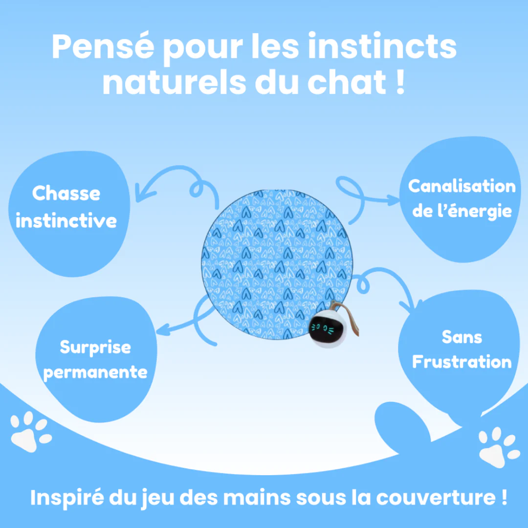 Tapis de Jeu Interactif pour Chat - Image 6