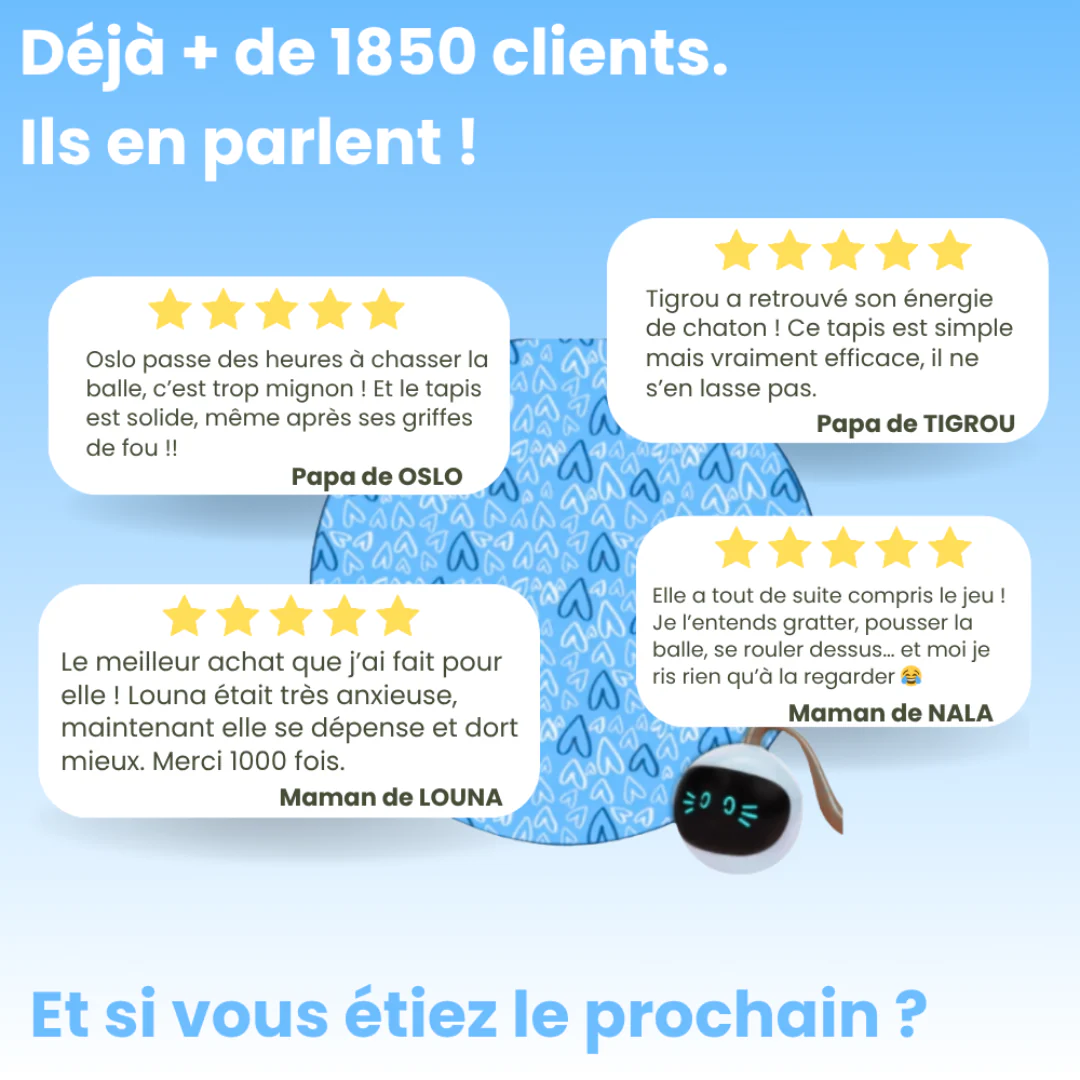 Tapis de Jeu Interactif pour Chat - Image 8