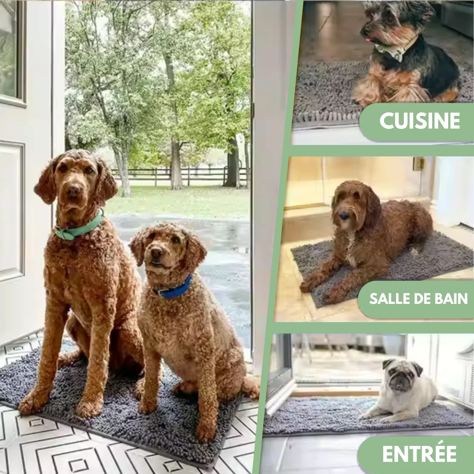 Tapis ultra-absorbant pour animaux - Image 5