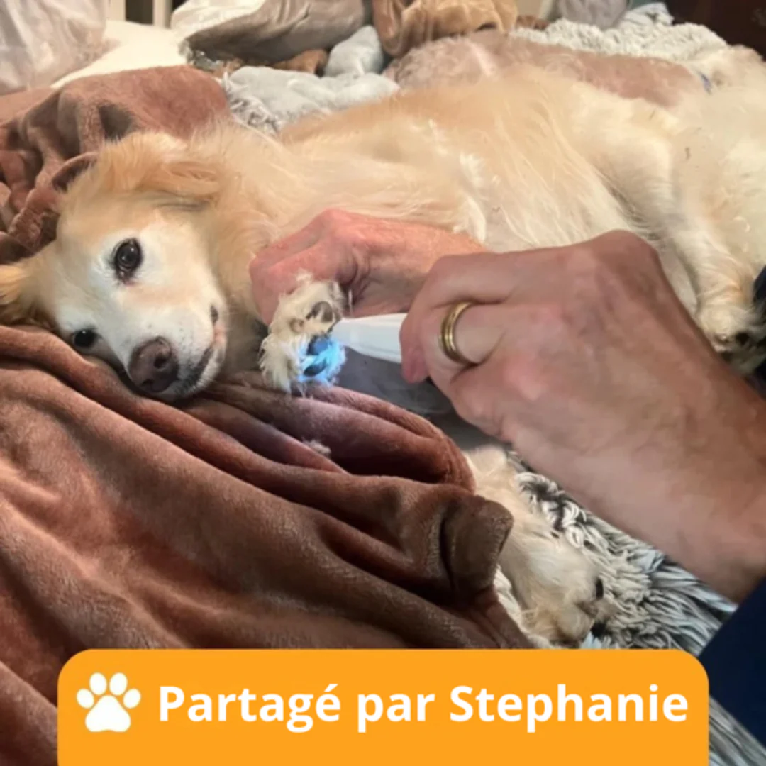 Tondeuse silencieuse pour soin des pattes - Image 8