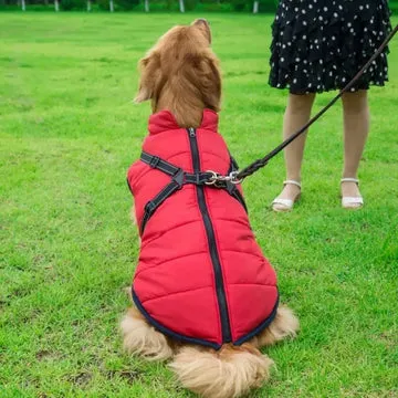 Veste d’hiver 2 en 1 pour chien - Image 14